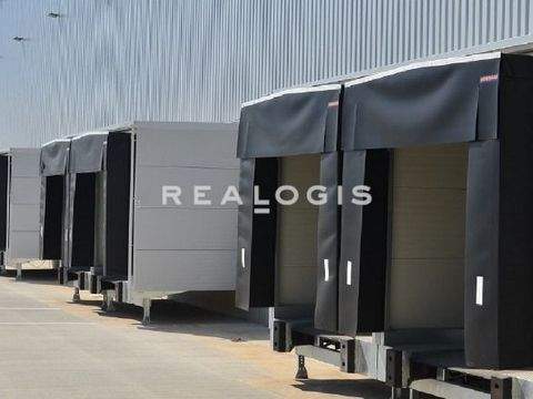 Dingolfing Halle, Dingolfing Hallenfläche