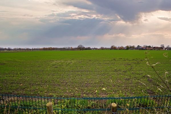 Ausblick auf Felder