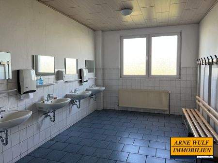 Bild 16