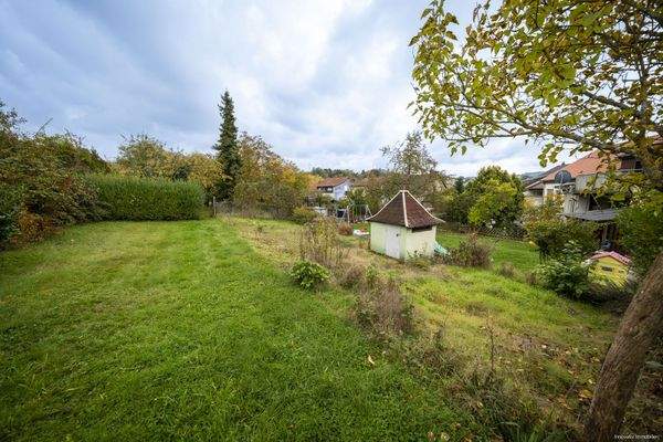 Vorderer Gartenbereich