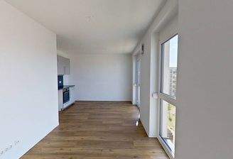 Ansicht I: Wohn- und Esszimmer mit offenem Küchenbereich