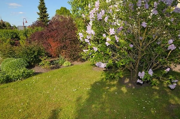 angelegter Garten II
