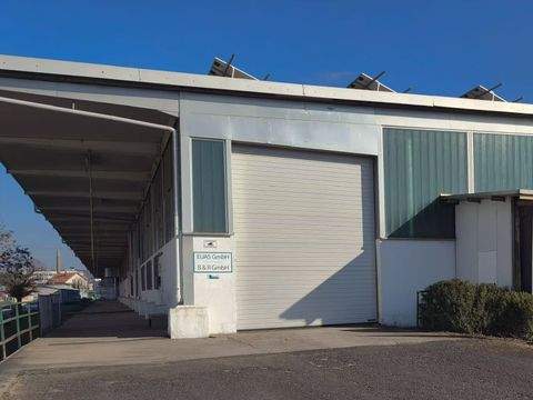 Gelnhausen Halle, Gelnhausen Hallenfläche