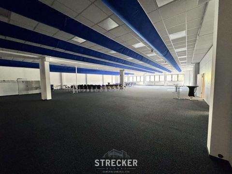 Königsbach-Stein Halle, Königsbach-Stein Hallenfläche