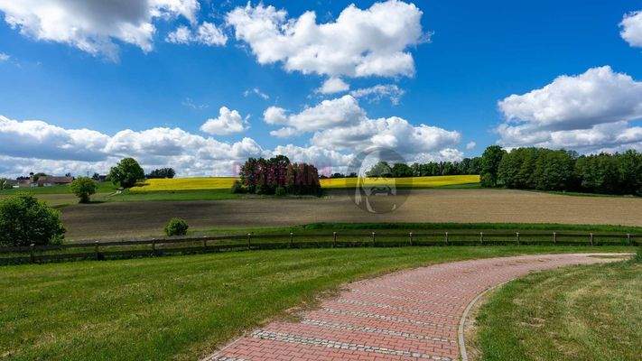 Blick von der Einfahrt aus