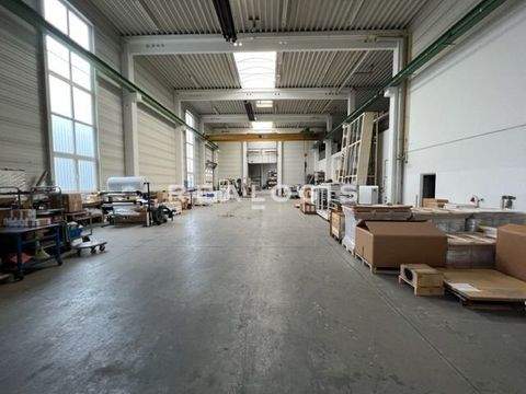 Ostfildern Halle, Ostfildern Hallenfläche