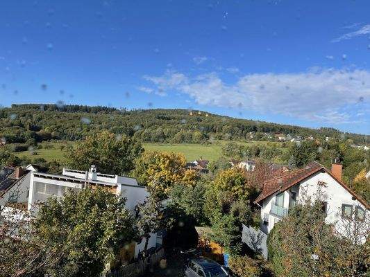 Ausblick Schlafzimmer 1