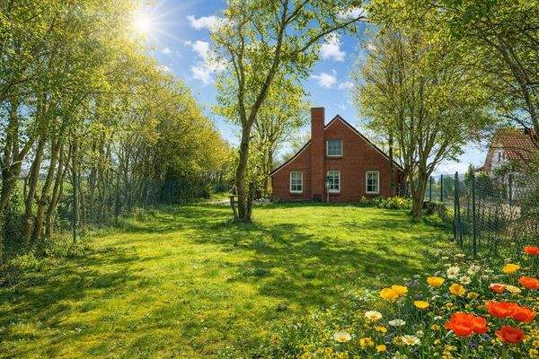 Foto 31-3-26, 15 12 01