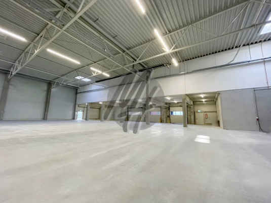 INFOS UNTER: 06171-586000