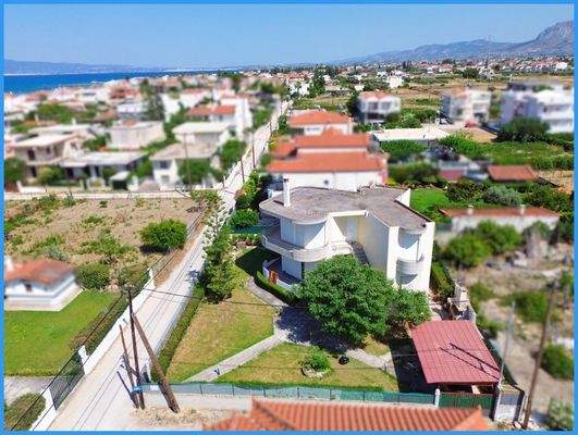 67080a839360488483d5c9cbadf1cd29-original