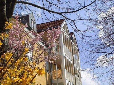 Dresden Wohnungen, Dresden Wohnung mieten