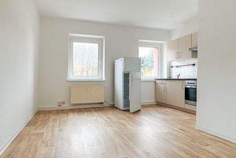 Zwickau Wohnungen, Zwickau Wohnung mieten