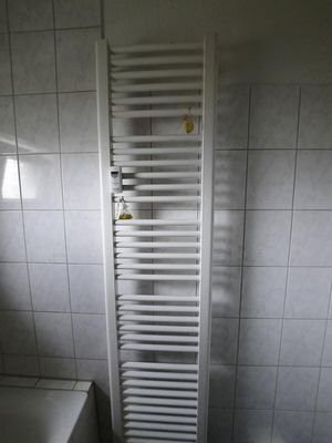 Handtuchheizkörper Bad