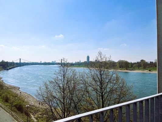 Kölner Skyline
