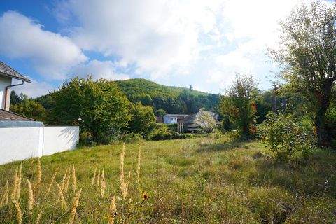 Wolfsgraben Grundstücke, Wolfsgraben Grundstück kaufen