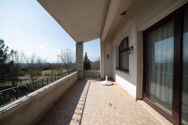 Krinides-Tsiriktsidou 23-02-2024-43.jpg