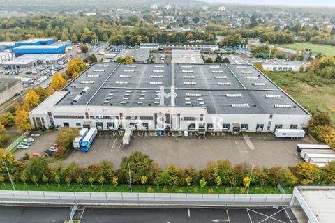 Grevenbroich Halle, Grevenbroich Hallenfläche