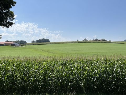 Haag Häuser, Haag Haus kaufen