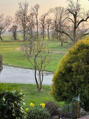 Foto 16 - Blick aus Wohnbereich