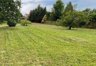 843fbb09-0ef9-4f9a-8c62-d9b86e7f497d.jpeg