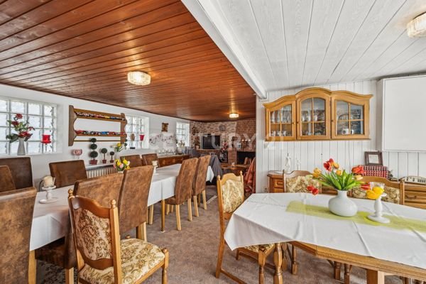 Kaminzimmer /Clubzimmer