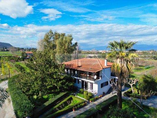 096ef3bb4c3c4cb38e2828ad419d5c29-original