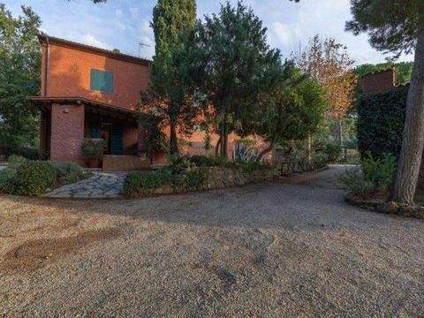 Massa Marittima Häuser, Massa Marittima Haus kaufen