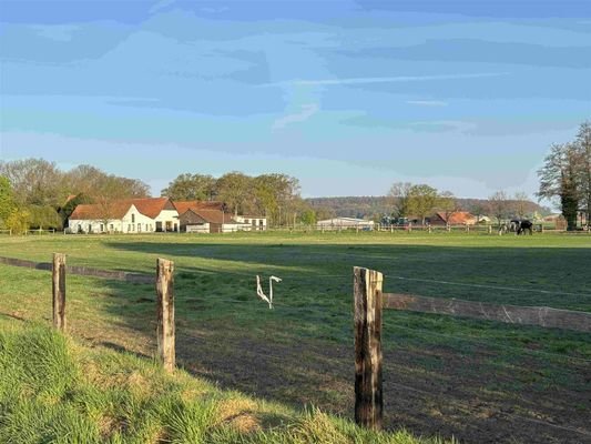 Bild16