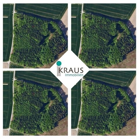 Künzing Bauernhöfe, Landwirtschaft, Künzing Forstwirtschaft