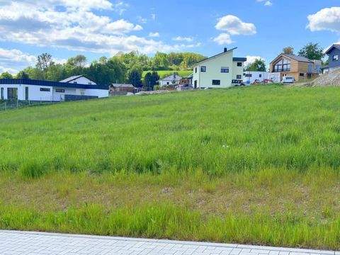 Alpenrod Grundstücke, Alpenrod Grundstück kaufen