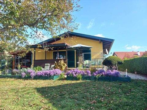 Raschala Häuser, Raschala Haus kaufen