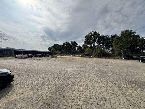 Winsen (Luhe) Halle, Winsen (Luhe) Hallenfläche