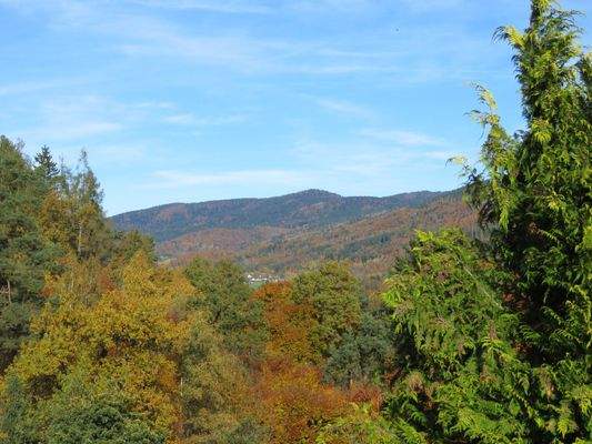 Blick ins Graflinger Tal 