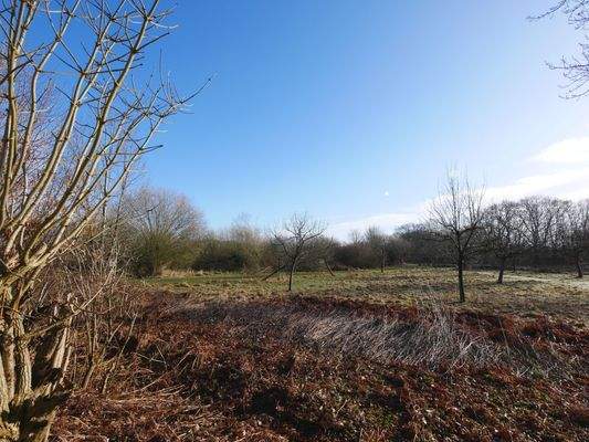 Blick in die schöne, grüne Nachbarschaft