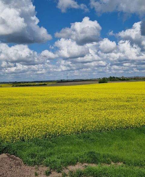 Halle (Saale) Grundstücke, Halle (Saale) Grundstück kaufen