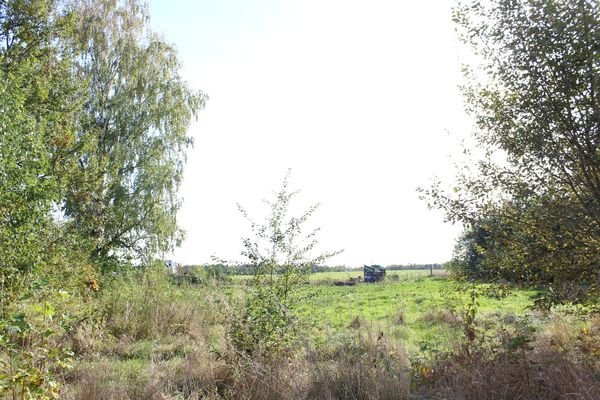 Ortsrandlage im Süden