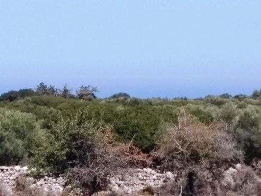 Kefalas: Abgelegenes Grundstück in Meeresnähe auf Kreta zum Verkauf