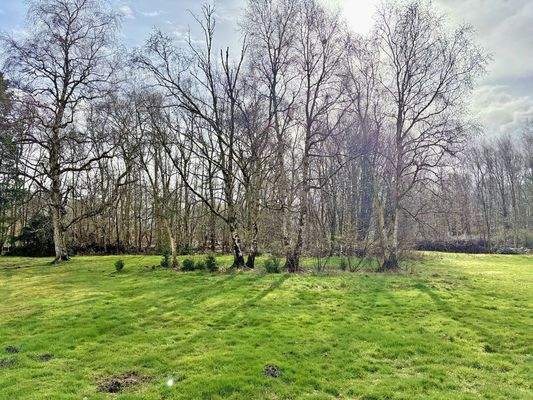 Gartenfläche hinten