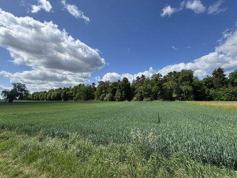 Kleinostheim Bauernhöfe, Landwirtschaft, Kleinostheim Forstwirtschaft