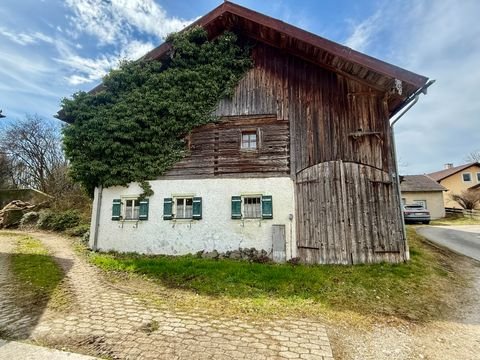 Surheim Häuser, Surheim Haus kaufen