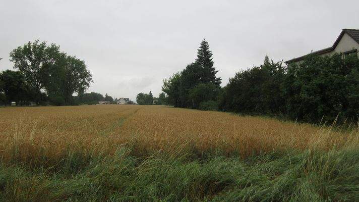 2 Ansicht Landwirtschaftsfläche