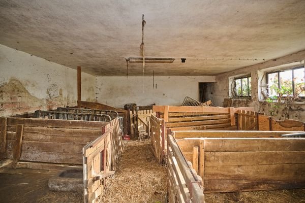 2. Rinder- und Schweinestall 