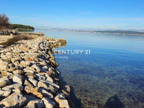 Zdrelac, Banj Bauernhöfe, Landwirtschaft, Zdrelac, Banj Forstwirtschaft