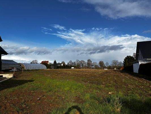 WhatsApp Image 2026-03-30 at1 18.14.05.jpeg