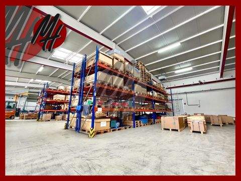 Seligenstadt Halle, Seligenstadt Hallenfläche