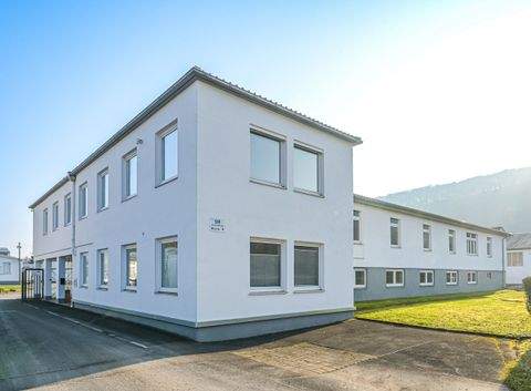 Gemünden am Main Büros, Büroräume, Büroflächen 