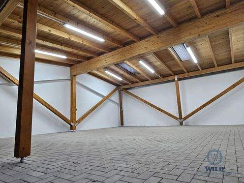 Dillingen / Pachten Halle, Dillingen / Pachten Hallenfläche