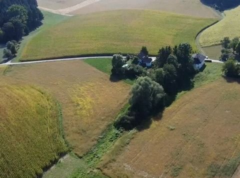 Pichl bei Wels Grundstücke, Pichl bei Wels Grundstück kaufen