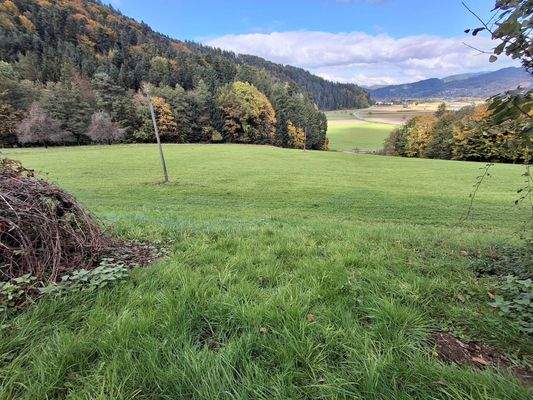 große Wiesenflächen mit Blick ins Tal
