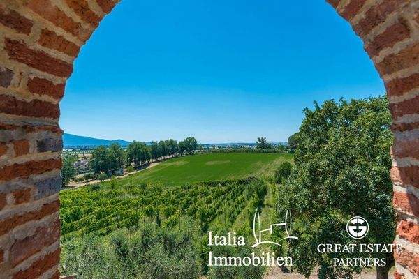 Schöne helle Villa in herrlicher Lage mit Türmchen, Pool, Weinberg und Olivenhain